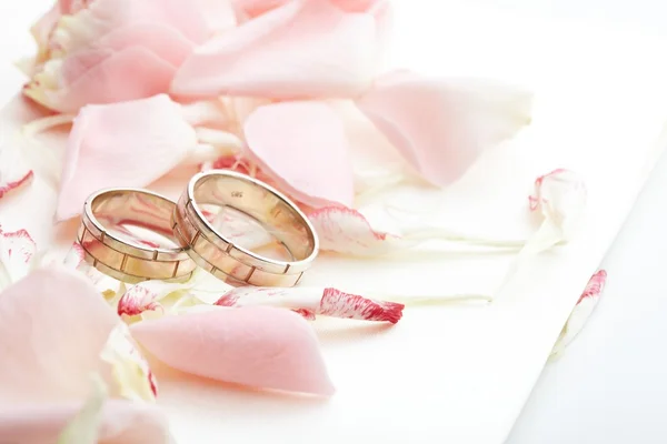Anillos de oro y pétalos de rosa — Foto de Stock