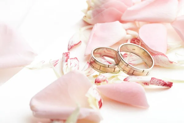 Golden rings and rose petals — Stock Photo, Image