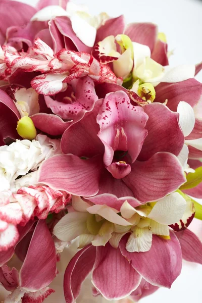 Bukiet orchidei — Zdjęcie stockowe