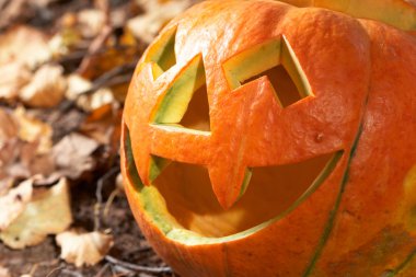 Creepy carved pumpkin face, with a smile, in park clipart