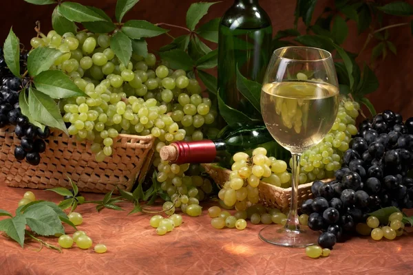 Bílé suché víno, čerstvé clustery vinných hroznů — Stock fotografie