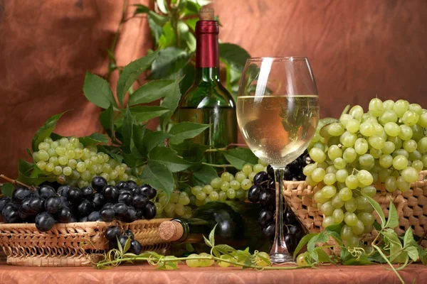 Fehér száraz bor, friss fürtök a szőlő — Stock Fotó