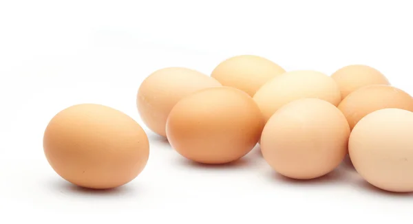 stock image Eggs on white background