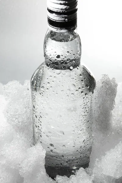 stock image Close up view of the bottle in ice