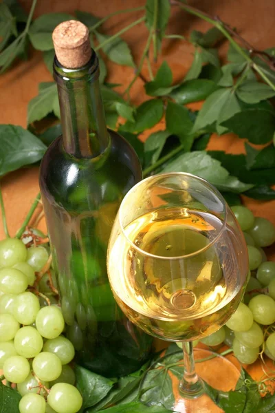 Винний келих з пляшкою для дегустації вина — стокове фото