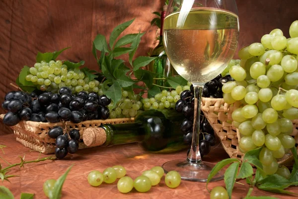 Vinho seco branco, grupos frescos de uvas — Fotografia de Stock
