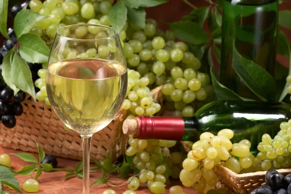 Белое сухое вино, свежие гроздья винограда — стоковое фото
