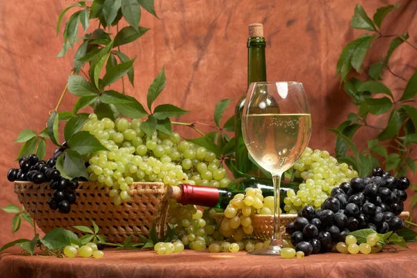 Fehér száraz bor, friss fürtök a szőlő — Stock Fotó