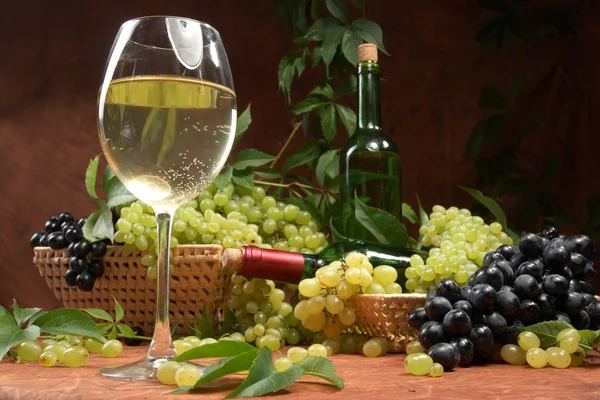 Bílé suché víno, čerstvé clustery vinných hroznů — Stock fotografie