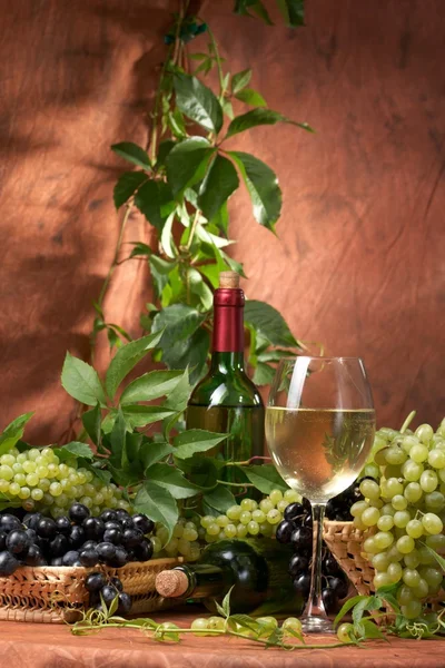 Белое сухое вино, свежие гроздья винограда — стоковое фото
