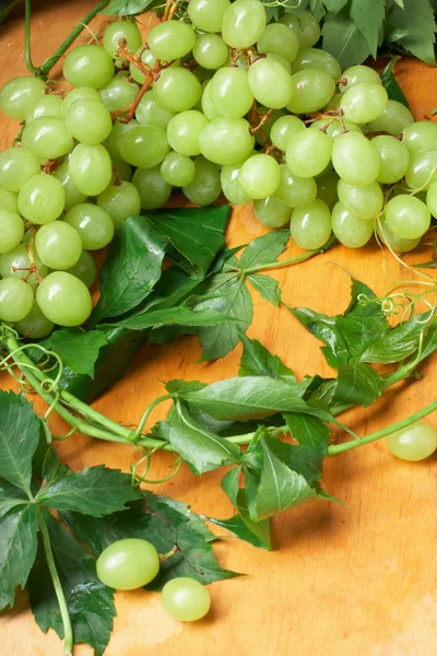 Uva verde con foglie — Foto Stock