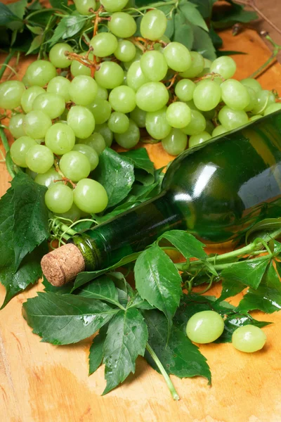 Şarap cam şişe şarap tadımı için — Stok fotoğraf