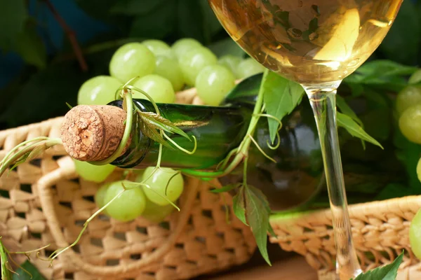 Wine glass with bottle for wine tasting — Stock Photo, Image