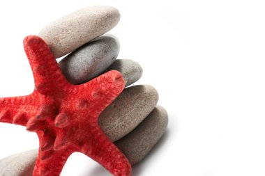 Deniz yıldızı ve çakıl