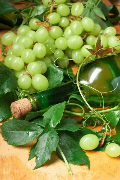 Anggur gelas dengan botol untuk mencicipi anggur — Stok Foto