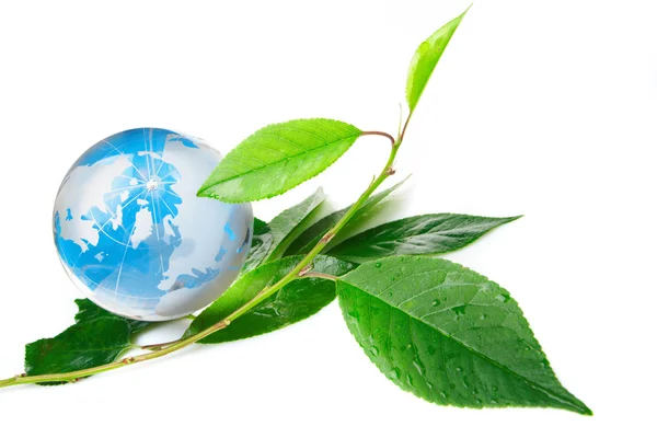 Glob koncepcję eco — Zdjęcie stockowe
