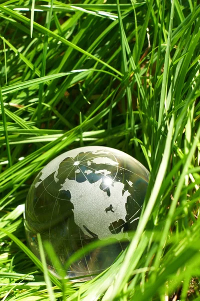 Glob w trawie, ekologia — Zdjęcie stockowe