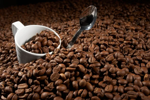 Cup in a grain of coffee — Stock Photo, Image