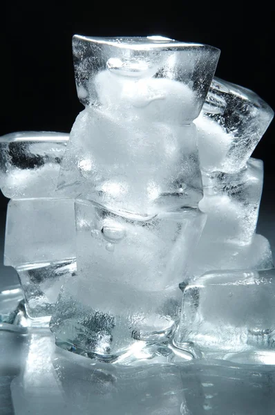 Stock image Cubes of ice