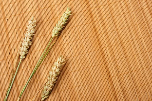 Зерновые уши — стоковое фото