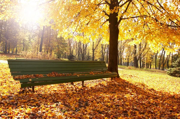 Na podzim, na podzim pozadí — Stock fotografie