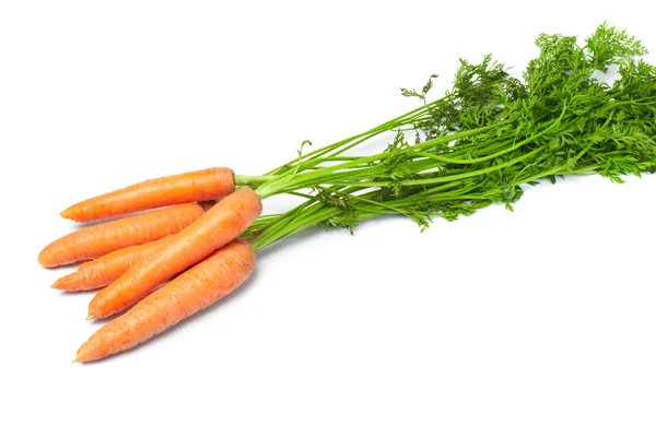 Čerstvá zelenina mrkev — Stock fotografie