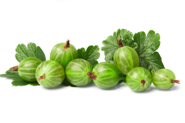 Gooseberry, among green leaves