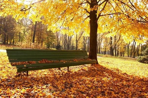 Осень, осенний фон — стоковое фото