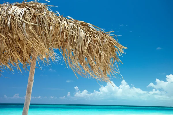On a tropical island, travel background, cuba — Stock Photo, Image