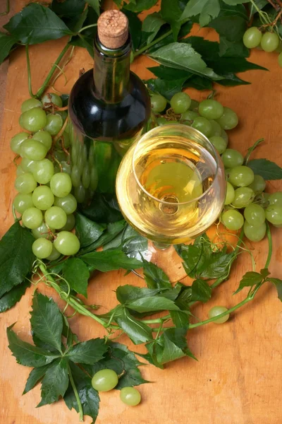 Verre à vin avec bouteille pour dégustation de vin — Photo