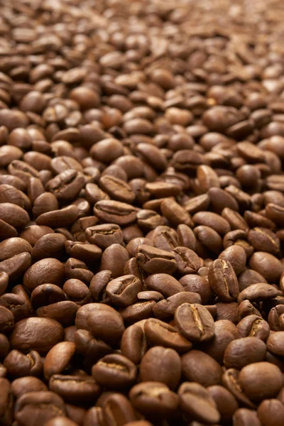 Kaffe korn — Stockfoto