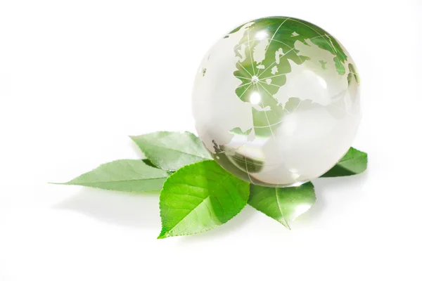 The globe concept eco — Stock Photo, Image