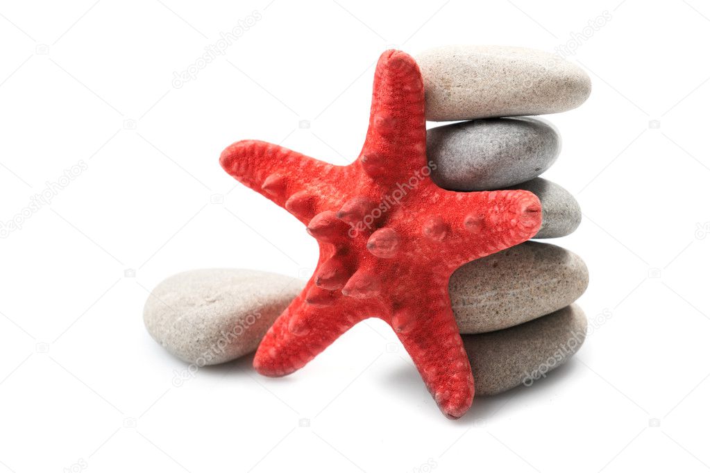 Starfish and pebble
