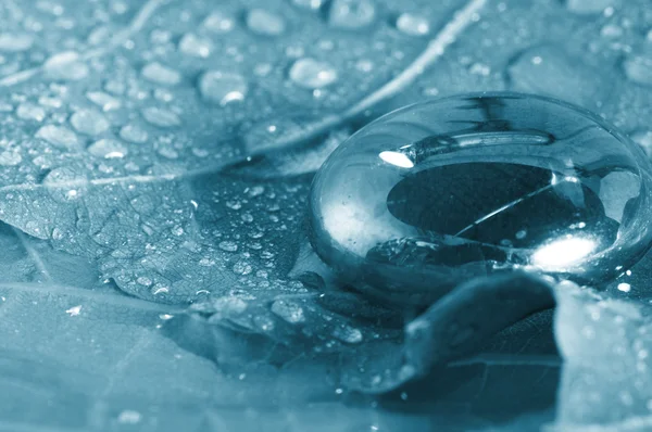 Tetesan transparan air pada lembar — Stok Foto