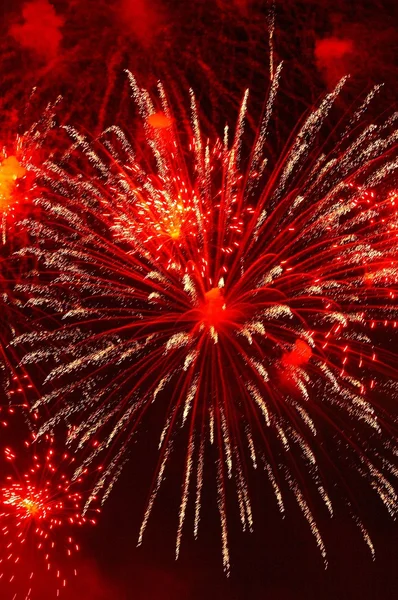 Fuochi d'artificio in onore del giorno dell'indipendenza — Foto Stock