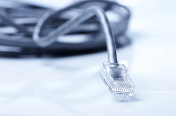 Netwerk en patch kabels — Stockfoto
