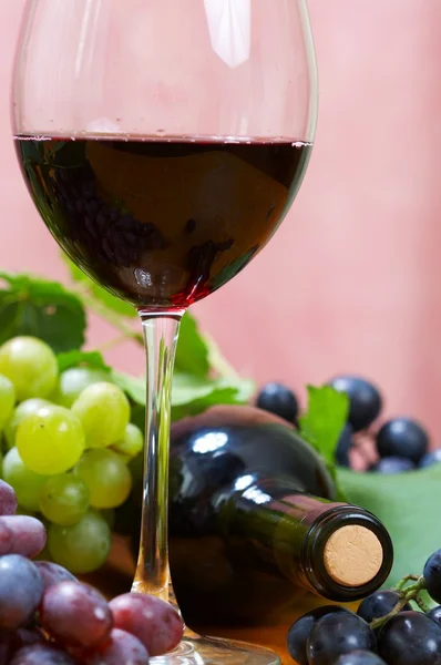 葡萄酒的成分 — 图库照片