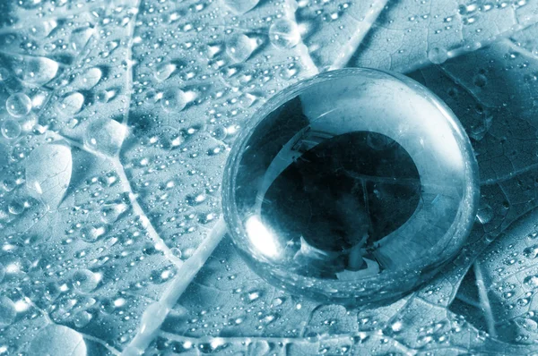 Transparent drop of water on a sheet — Stock Photo, Image
