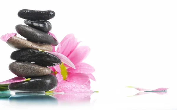 Stock image Spa still life