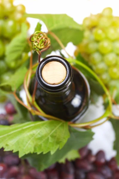 Botella de vino y uva joven — Foto de Stock