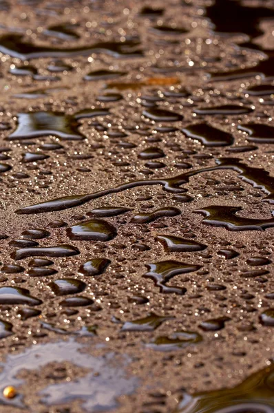 Drops on fresh asphalt, oil — Stock Photo, Image