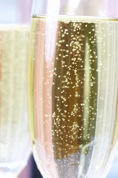 Шампанське і скла — стокове фото
