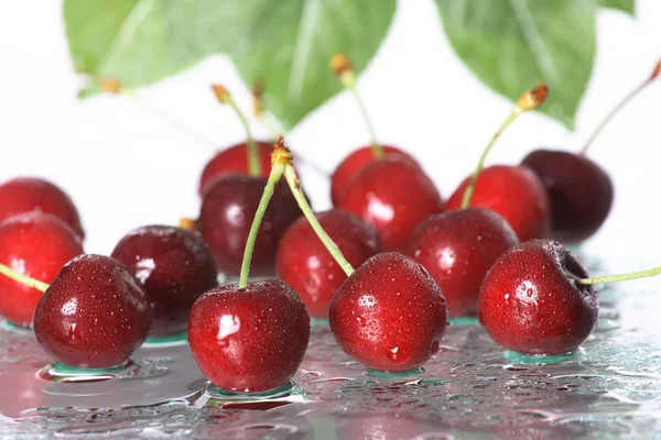 Cherry on a white background — Stock Photo, Image