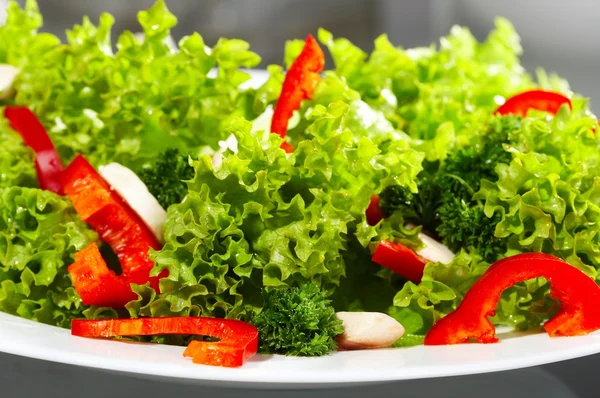 stock image Salad