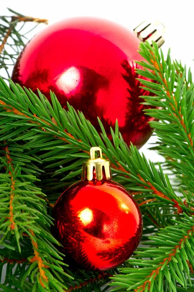 Rote Kugel, Weihnachten — Stockfoto