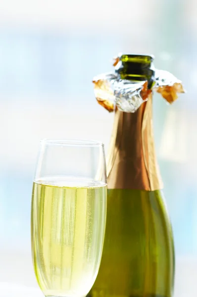 Champanhe e copo — Fotografia de Stock