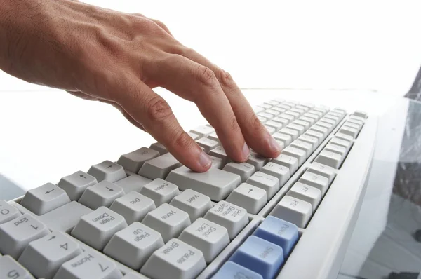 Hands typing — Stock Photo, Image