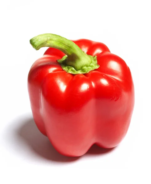 stock image Pepper