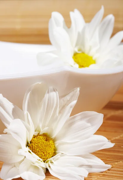 stock image Flowers spa