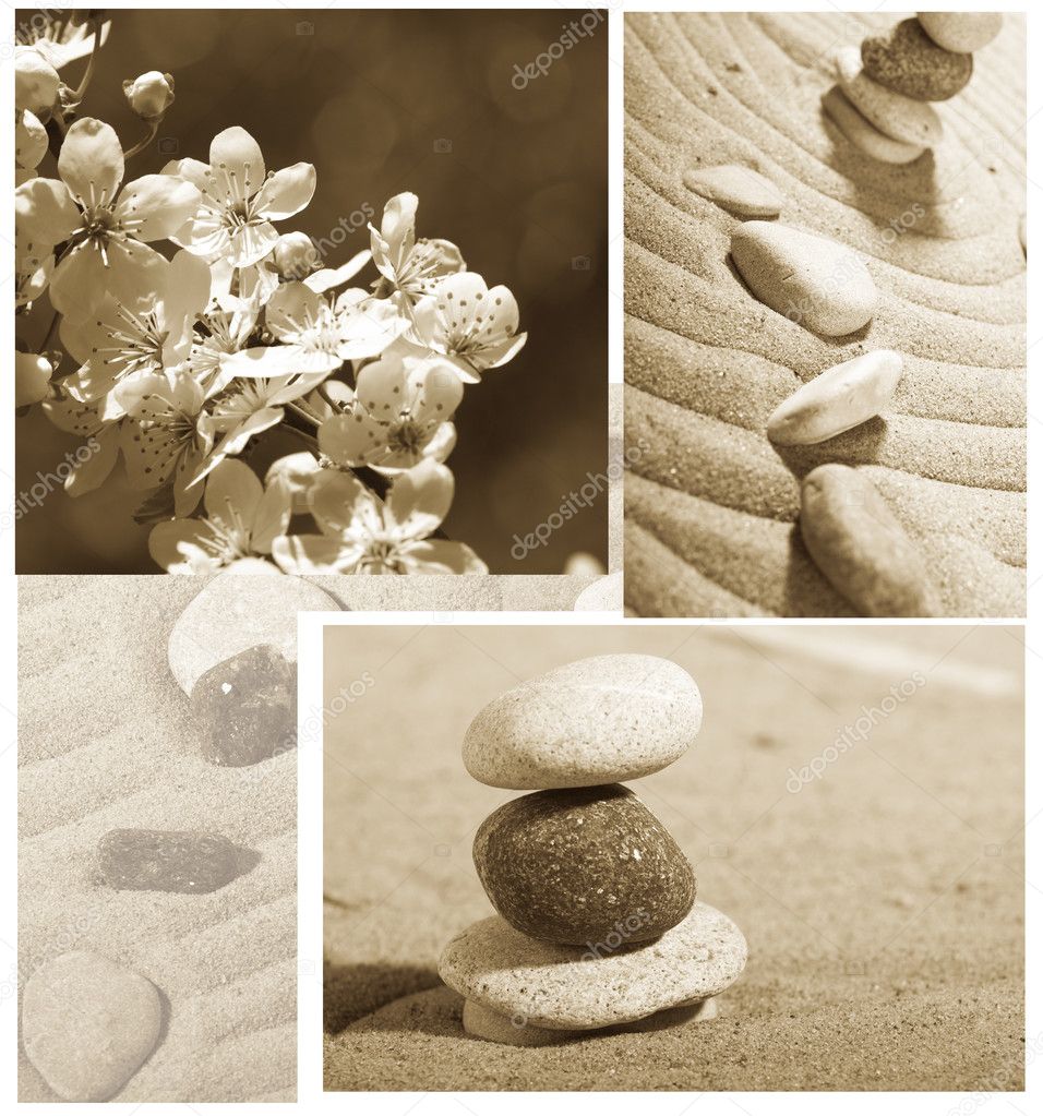 Garden of stones, feng-shui, sakura,